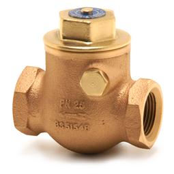 image for 1060A Swing Check Valve