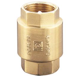 image for 1063 Spring Check Valve