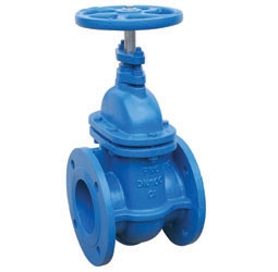 image for V951 Gate valve